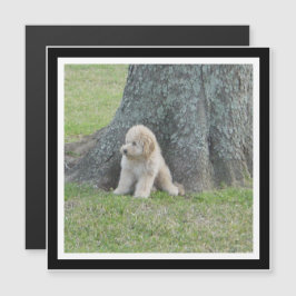 Crie o seu próprio ímã de fotos ao quadrado preto