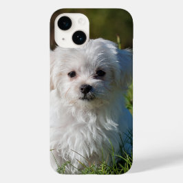 Crie seu próprio adicionar foto personalizado