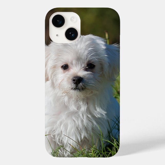 Crie seu próprio adicionar foto personalizado (Verso)
