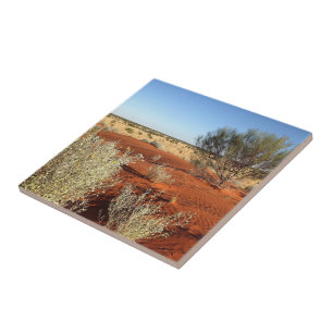 Crie seu próprio azulejo quadrado - Deserto austr