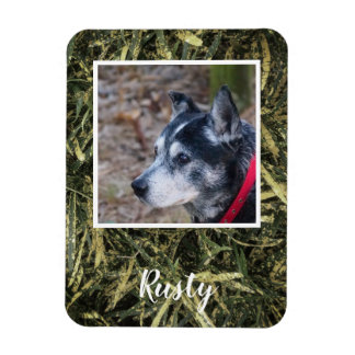 Crie seu próprio ímã de fotos de estimação