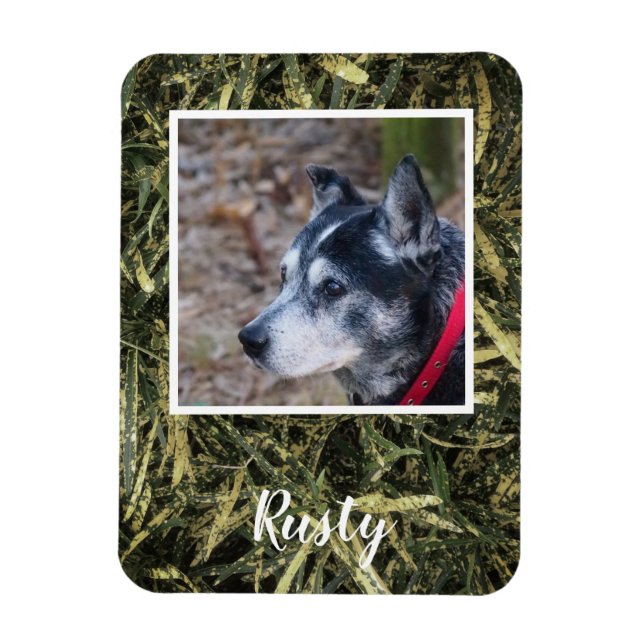 Crie seu próprio ímã de fotos de estimação (Vertical)