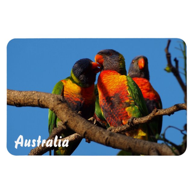 Crie seu próprio ímã fotográfico (Horizontal)