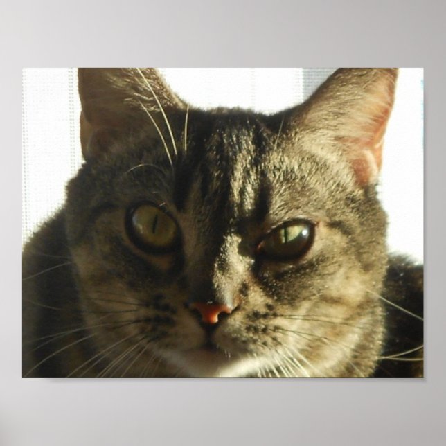 Crie seu próprio Poster de 11" x 8,5" (Frente)