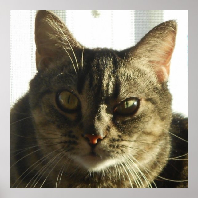 Crie seu próprio Poster de 24" x 24" (Frente)