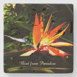 Crie sua própria Porta copos de pedra - Pássaro do