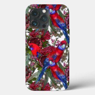 Crimson Rosella e Padrão de Flor Selvagem Australi