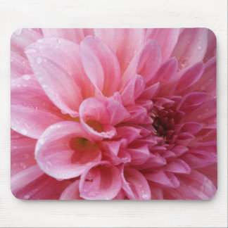Crisântemo cor-de-rosa Mousepad