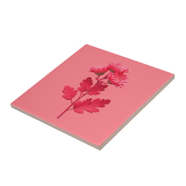 Crisântemo Rosa  (Lateral)