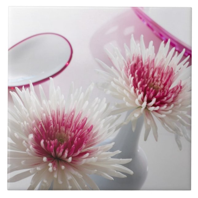 Crisântemos (Frente)