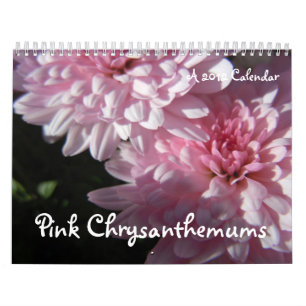 Crisântemos cor-de-rosa, um calendário 2012