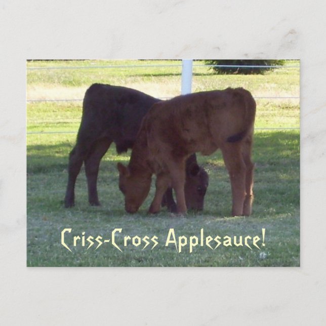 Criss-Cross Applesauce! Cartão postal de bezerros (Frente)