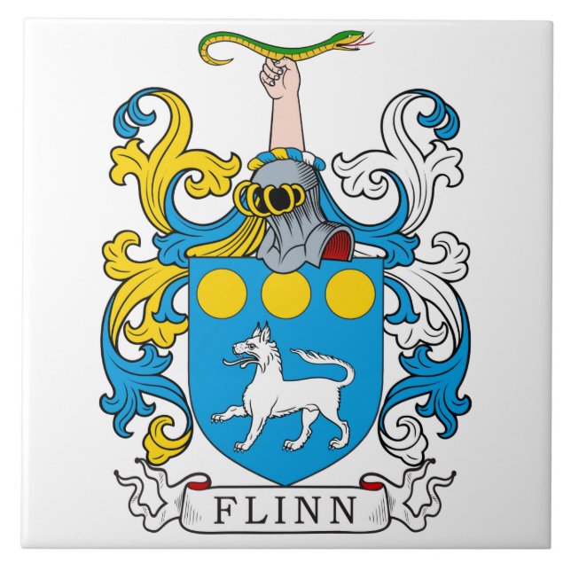 Crista da família de Flinn (Frente)