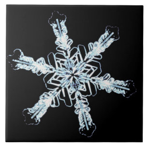 Cristal estelar da neve