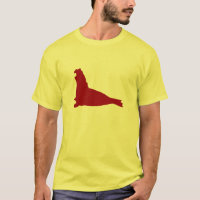 Cristo de camisa elefante