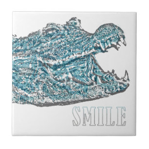 Crocodilo de Sorriso