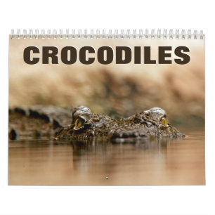 Crocodilos 2022 Calendário de Parede
