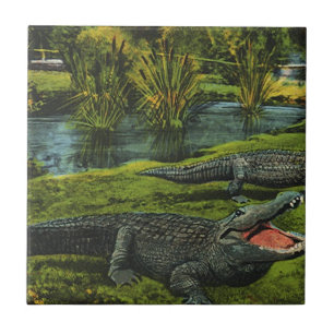 Crocodilos, Répteis da Vida Marinha Vintage Animai