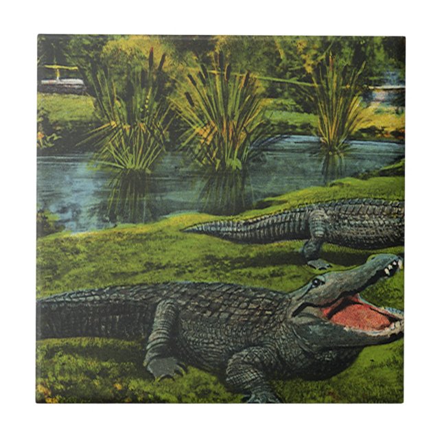 Crocodilos Vintage, Animais da Marinha Répteis (Frente)