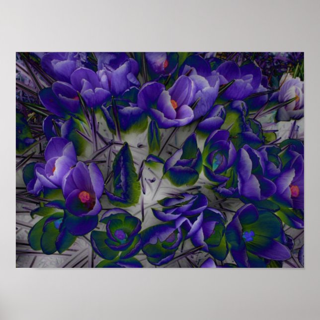 Crocus Cloud Pattern Poster (Frente)
