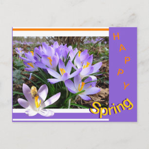 Crocus com cartão postal da primavera Feliz Abelha