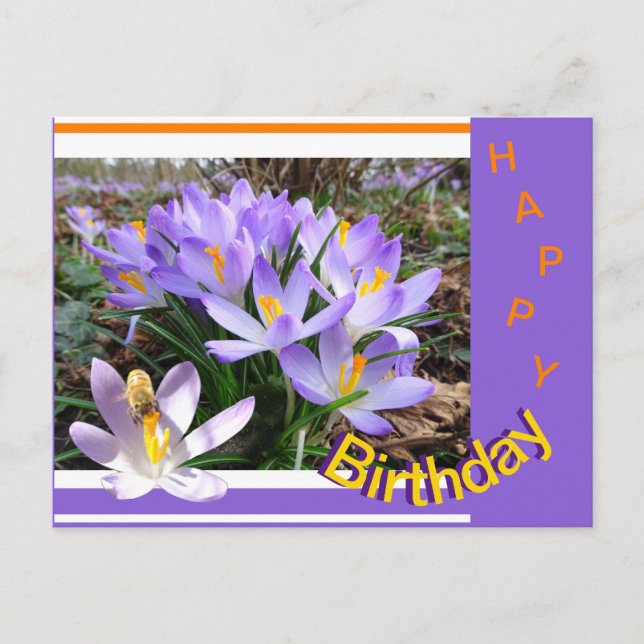 Crocus com cartão postal de aniversário Bee Happy (Frente)