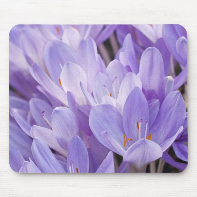 Crocus Mousepad (Frente)