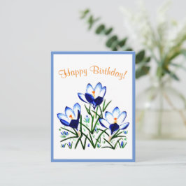 Crócuses Azuis no Cartão Postal da Primavera