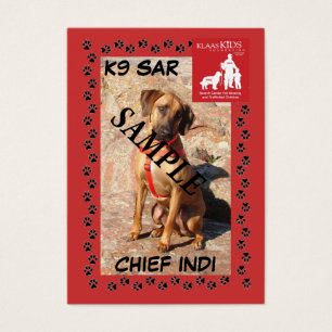 Cromos de colecção do SAR K9 (arrastar)