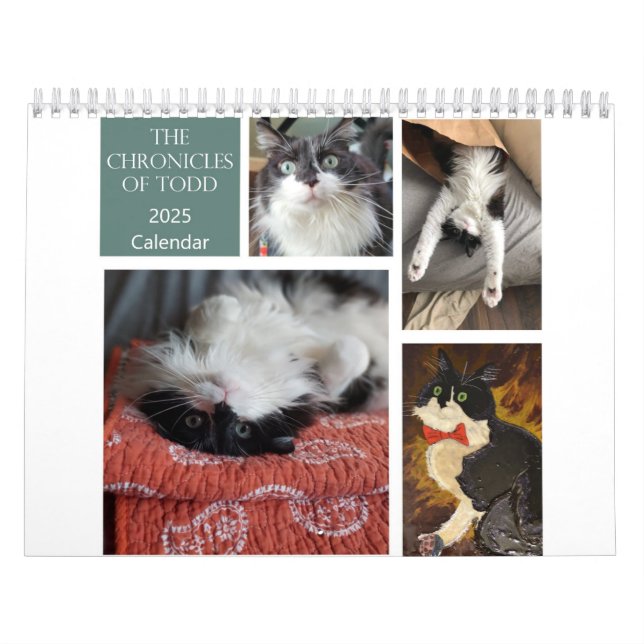 Crônicas do Calendário de Todd 2025 (Capa)