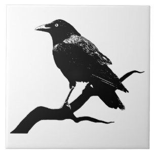 Crow