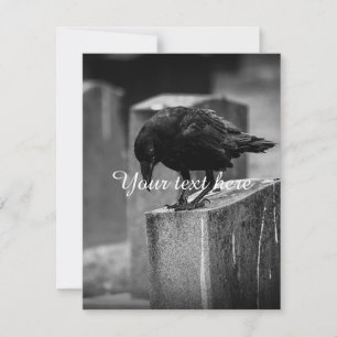 Crow do Cemitério de Queda