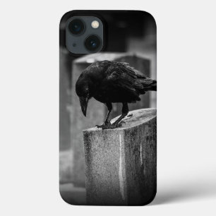 Crow do Cemitério de Queda