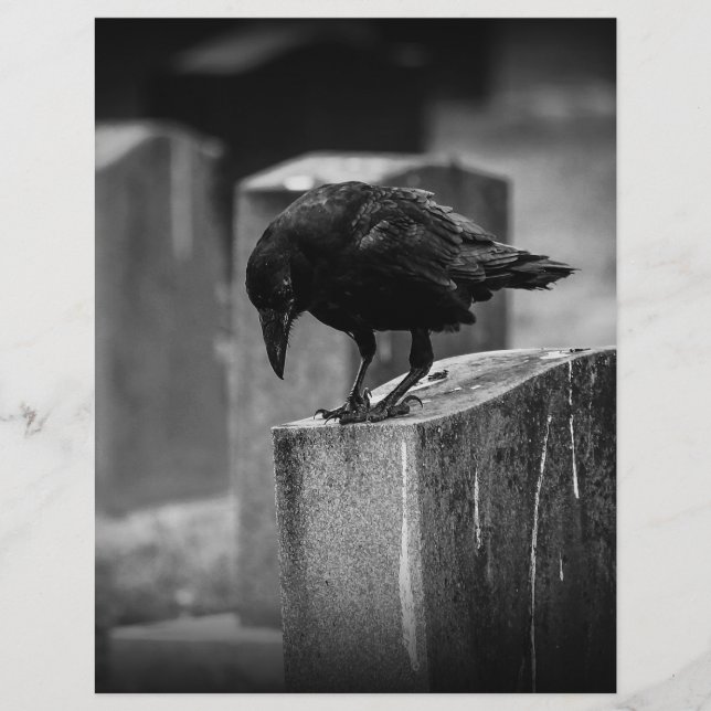 Crow do Cemitério de Queda (Frente)