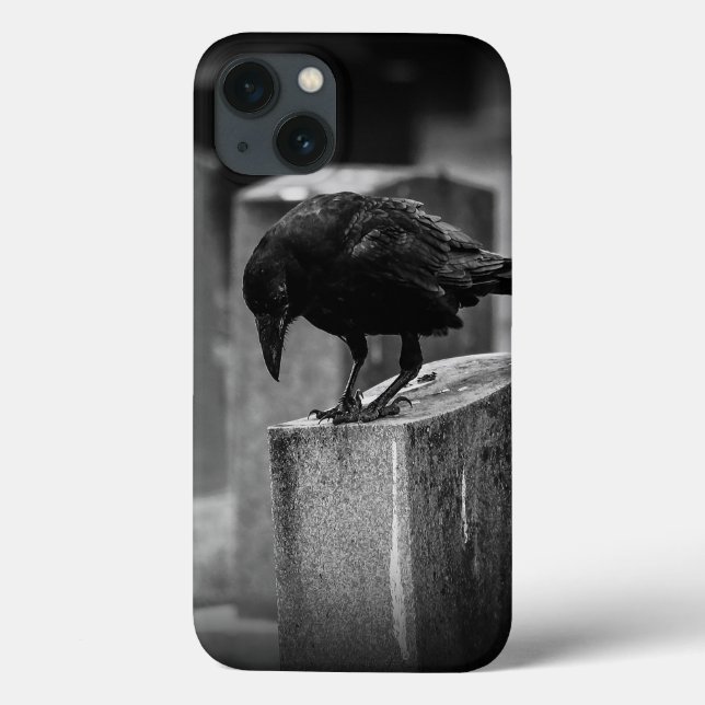 Crow do Cemitério de Queda (Verso)