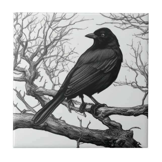 Crow Perched on Bare Winter Branches (Frente)