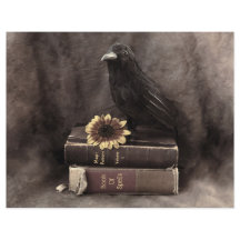 Crow Vintage Gótica Livros Antigos Girassol