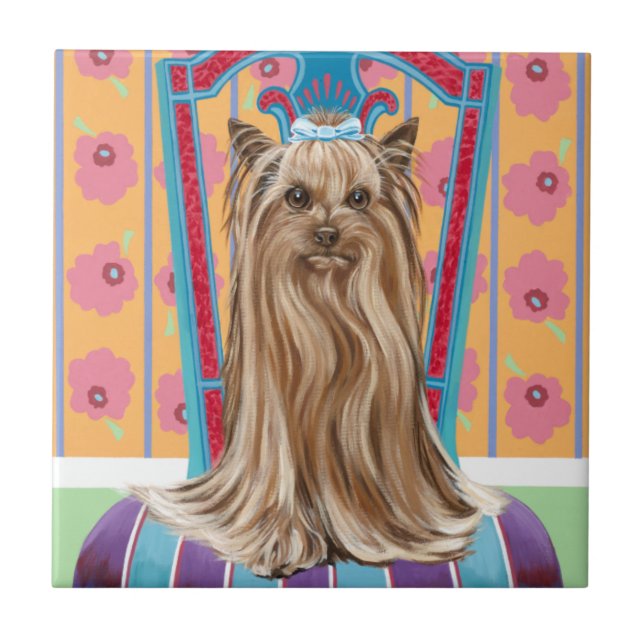 Crown Princess Yorkie (Frente)