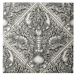 Crustáceos a preto e branco natural