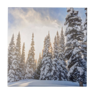 Crystal Mountain Ski Resort, perto do Monte Rainie