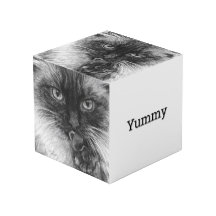 Cubo de Esboço de Gato a Lápis