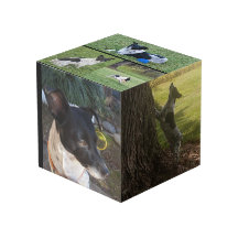 Cubo de Foto Personalizado