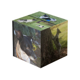 Cubo de Foto Personalizado