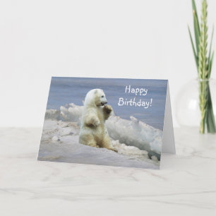 Cubo de Urso Polar Bonito e Cartão de Aniversário