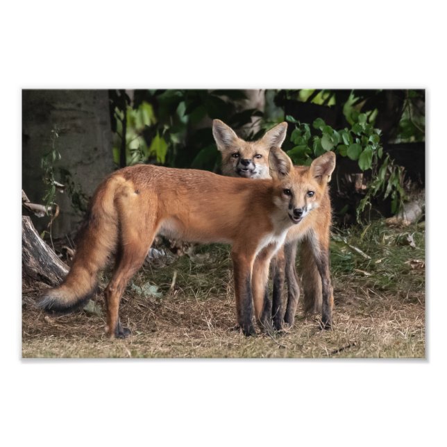 Cuidado Com O Impressão De Fotografias Do Meu Irmã (Frente)