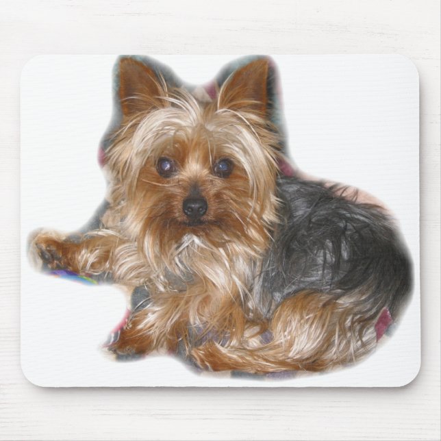 Cujo Mousepad (Frente)