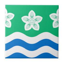 Cumberland (condado do Reino Unido)
