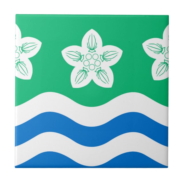 Cumberland (condado do Reino Unido) (Frente)
