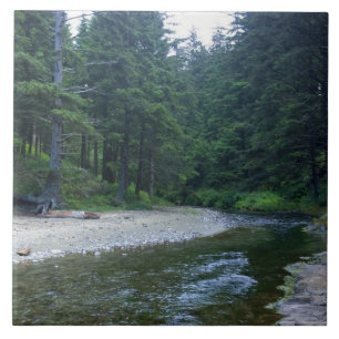 Cummins Creek no Parque Estadual de Netuno, OR