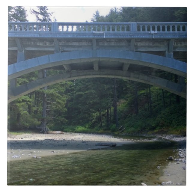 Cummins Creek no Parque Estadual de Netuno, OR (Frente)